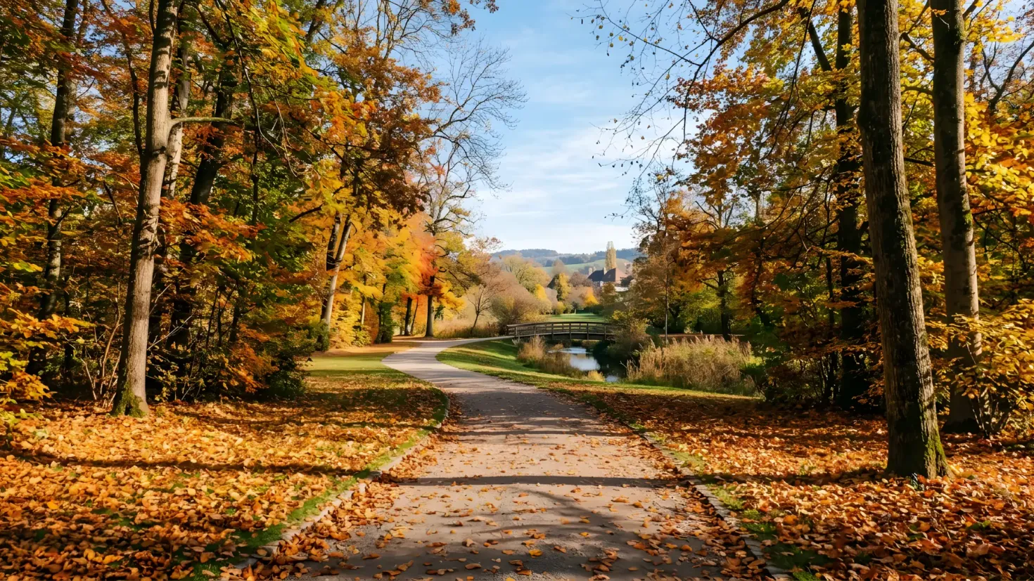 A scenic, empty park path during a sunny autumn day, covered with fallen golden leaves and surrounded by vibrant yellow and orange trees.